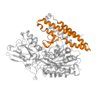 The deposited structure of PDB entry 4oc3 contains 1 copy of Pfam domain PF04253 (Transferrin receptor-like dimerisation domain) in Glutamate carboxypeptidase 2. Showing 1 copy in chain A.