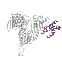 The deposited structure of PDB entry 4ocg contains 2 copies of Pfam domain PF00581 (Rhodanese-like domain) in Rhodanese domain-containing protein. Showing 1 copy in chain A.