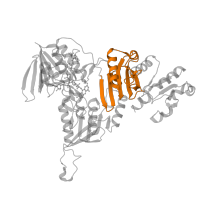 The deposited structure of PDB entry 4ocg contains 2 copies of Pfam domain PF02852 (Pyridine nucleotide-disulphide oxidoreductase, dimerisation domain) in Rhodanese domain-containing protein. Showing 1 copy in chain A.