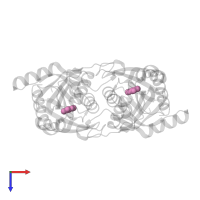 ADENINE in PDB entry 4ojt, assembly 1, top view.