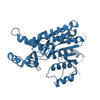 The deposited structure of PDB entry 4olc contains 4 copies of Pfam domain PF00696 (Amino acid kinase family) in Carbamate kinase. Showing 1 copy in chain A.