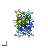 PDB entry 4olc coloured by chain, side view.