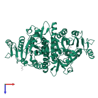 Carbamate kinase in PDB entry 4olc, assembly 2, top view.