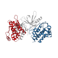 The deposited structure of PDB entry 4oli contains 2 copies of CATH domain 1.10.510.10 (Transferase(Phosphotransferase); domain 1) in Non-receptor tyrosine-protein kinase TYK2. Showing 2 copies in chain A.