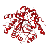 The deposited structure of PDB entry 4ot7 contains 1 copy of CATH domain 3.20.20.70 (TIM Barrel) in NADH:flavin oxidoreductase/NADH oxidase N-terminal domain-containing protein. Showing 1 copy in chain A.