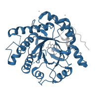 The deposited structure of PDB entry 4ot7 contains 1 copy of Pfam domain PF00724 (NADH:flavin oxidoreductase / NADH oxidase family) in NADH:flavin oxidoreductase/NADH oxidase N-terminal domain-containing protein. Showing 1 copy in chain A.