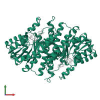 11-beta-hydroxysteroid dehydrogenase 1 in PDB entry 4p38, assembly 1, front view.