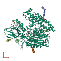 PDB entry 4p4i coloured by chain, front view.