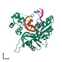 PDB entry 4p4p coloured by chain, front view.
