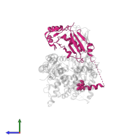 NEDD8-conjugating enzyme Ubc12 in PDB entry 4p5o, assembly 1, side view.