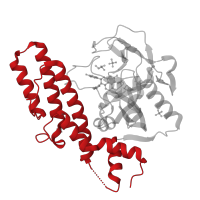 The deposited structure of PDB entry 4pjt contains 4 copies of CATH domain 1.20.142.10 (Poly(ADP-ribose) Polymerase; domain 1) in Poly [ADP-ribose] polymerase 1, processed C-terminus. Showing 1 copy in chain C.