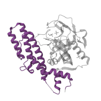 The deposited structure of PDB entry 4pjt contains 4 copies of Pfam domain PF02877 (Poly(ADP-ribose) polymerase, regulatory domain) in Poly [ADP-ribose] polymerase 1, processed C-terminus. Showing 1 copy in chain C.