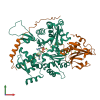 Hetero dimeric assembly 1 of PDB entry 4pkg coloured by chemically distinct molecules, front view.