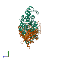 Hetero dimeric assembly 1 of PDB entry 4pki coloured by chemically distinct molecules, side view.