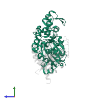 Actin, alpha skeletal muscle in PDB entry 4pki, assembly 1, side view.