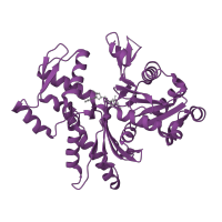 The deposited structure of PDB entry 4pl8 contains 2 copies of Pfam domain PF00022 (Actin) in Actin, alpha skeletal muscle. Showing 1 copy in chain A.