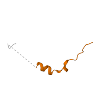 The deposited structure of PDB entry 4pl8 contains 1 copy of Pfam domain PF01290 (Thymosin beta-4 family) in Protein cordon-bleu. Showing 1 copy in chain B [auth H].