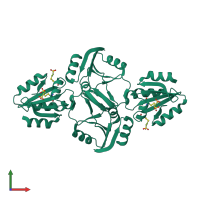 Homo tetrameric assembly 6 of PDB entry 4pol coloured by chemically distinct molecules, front view.