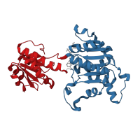 The deposited structure of PDB entry 4prl contains 4 copies of CATH domain 3.40.50.720 (Rossmann fold) in 4-phosphoerythronate dehydrogenase. Showing 2 copies in chain A.