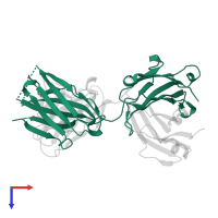 Ig-like domain-containing protein in PDB entry 4pub, assembly 1, top view.