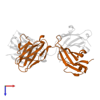 Ig-like domain-containing protein in PDB entry 4pub, assembly 1, top view.