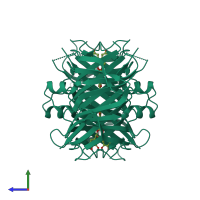 Homo tetrameric assembly 1 of PDB entry 4pwi coloured by chemically distinct molecules, side view.