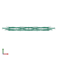 Kinesin-like protein Klp61F in PDB entry 4pxt, assembly 1, front view.