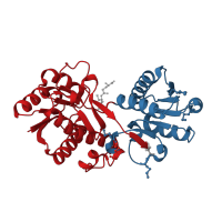 The deposited structure of PDB entry 4pyr contains 2 copies of CATH domain 3.40.50.2300 (Rossmann fold) in Penicillin-binding protein activator. Showing 2 copies in chain A.