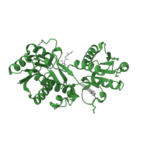 The deposited structure of PDB entry 4pyr contains 1 copy of Pfam domain PF04348 (LppC putative lipoprotein) in Penicillin-binding protein activator. Showing 1 copy in chain A.