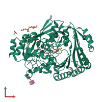 Monomeric assembly 3 of PDB entry 4pzf coloured by chemically distinct molecules, front view.