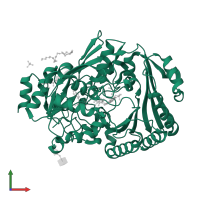 Reticuline oxidase in PDB entry 4pzf, assembly 3, front view.