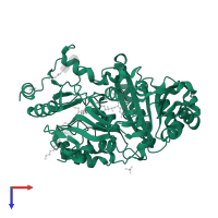 Reticuline oxidase in PDB entry 4pzf, assembly 3, top view.