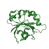 The deposited structure of PDB entry 4q66 contains 4 copies of CATH domain 3.40.50.300 (Rossmann fold) in ADP-ribosylation factor 1. Showing 1 copy in chain I [auth F].