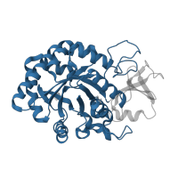 The deposited structure of PDB entry 4q7n contains 1 copy of CATH domain 3.20.20.80 (TIM Barrel) in Chitinase-3-like protein 1. Showing 1 copy in chain A.