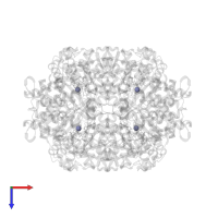 ZINC ION in PDB entry 4qg4, assembly 1, top view.