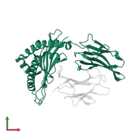 HLA class I histocompatibility antigen, B alpha chain in PDB entry 4qrt, assembly 1, front view.