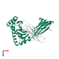 HLA class I histocompatibility antigen, B alpha chain in PDB entry 4qrt, assembly 1, top view.