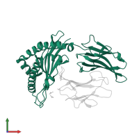 HLA class I histocompatibility antigen, B alpha chain in PDB entry 4qru, assembly 1, front view.