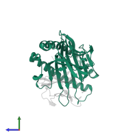 HLA class I histocompatibility antigen, B alpha chain in PDB entry 4qru, assembly 1, side view.