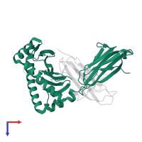 HLA class I histocompatibility antigen, B alpha chain in PDB entry 4qru, assembly 1, top view.