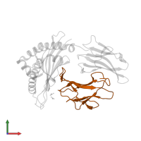 Beta-2-microglobulin in PDB entry 4qru, assembly 1, front view.