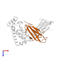 Beta-2-microglobulin in PDB entry 4qru, assembly 1, top view.