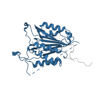 The deposited structure of PDB entry 4qty contains 1 copy of Pfam domain PF00656 (Caspase domain) in Caspase-3 subunit p17. Showing 1 copy in chain A.