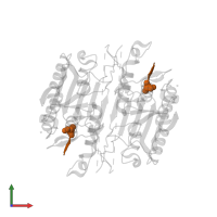 ACE-ASP-GLU-VAL-ASP-CHLOROMETHYLKETONE INHIBITOR in PDB entry 4qu8, assembly 1, front view.