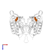 ACE-ASP-GLU-VAL-ASP-CHLOROMETHYLKETONE INHIBITOR in PDB entry 4qu8, assembly 1, top view.