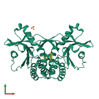Homo dimeric assembly 1 of PDB entry 4qxr coloured by chemically distinct molecules, front view.
