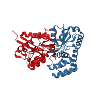 The deposited structure of PDB entry 4r2b contains 4 copies of CATH domain 3.40.190.10 (D-Maltodextrin-Binding Protein; domain 2) in Extracellular solute-binding protein family 1. Showing 2 copies in chain A.