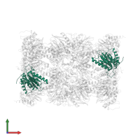 Proteasome subunit alpha type-6 in PDB entry 4r3o, assembly 1, front view.