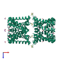 Homo octameric assembly 1 of PDB entry 4r50 coloured by chemically distinct molecules, top view.