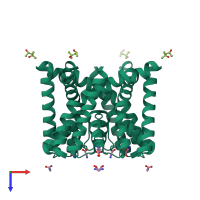 Homo tetrameric assembly 2 of PDB entry 4r50 coloured by chemically distinct molecules, top view.